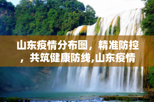 山东疫情分布图，精准防控，共筑健康防线,山东疫情分布图