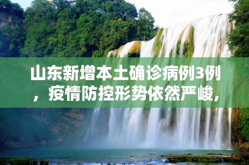山东新增本土确诊病例3例，疫情防控形势依然严峻,山东新增本土确诊病例3例
