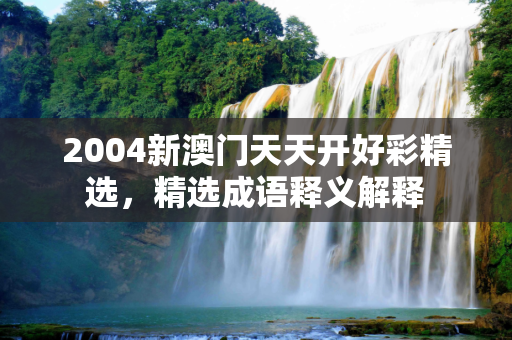2004新澳门天天开好彩精选，精选成语释义解释