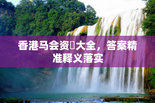 香港马会资枓大全，答案精准释义落实