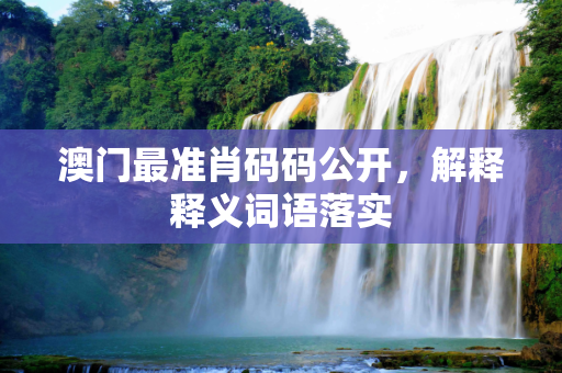 澳门最准肖码码公开，解释释义词语落实
