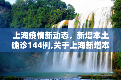 上海疫情新动态，新增本土确诊144例,关于上海新增本土确诊144例的信息