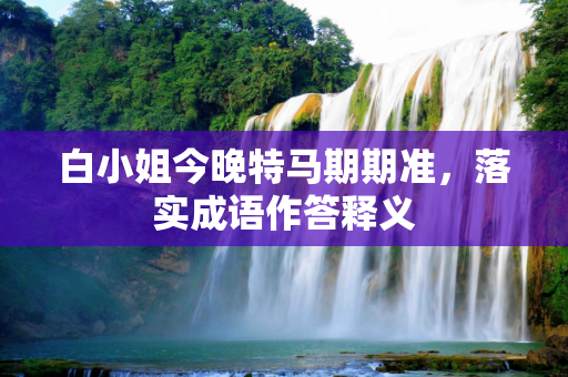 白小姐今晚特马期期准，落实成语作答释义