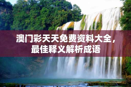 澳门彩天天免费资料大全，最佳释义解析成语