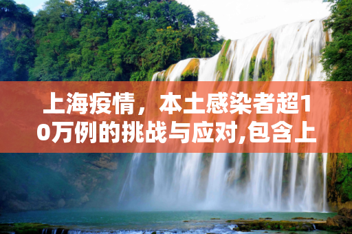 上海疫情，本土感染者超10万例的挑战与应对,包含上海现有本土感染者超10万例的词条