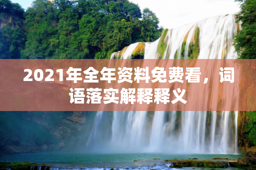 2021年全年资料免费看，词语落实解释释义
