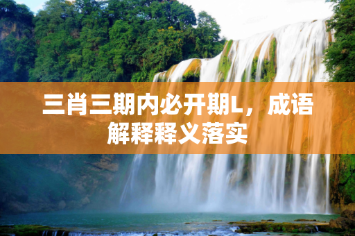 三肖三期内必开期L，成语解释释义落实