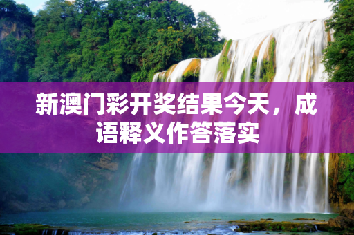 新澳门彩开奖结果今天，成语释义作答落实