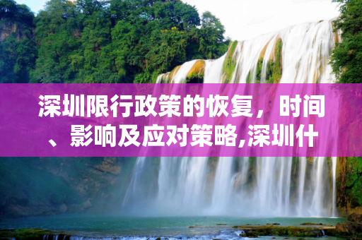 深圳限行政策的恢复，时间、影响及应对策略,深圳什么时候恢复限行