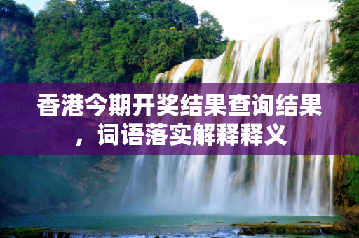 香港今期开奖结果查询结果，词语落实解释释义