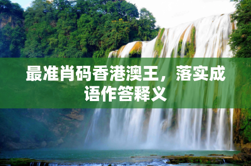 最准肖码香港澳王，落实成语作答释义