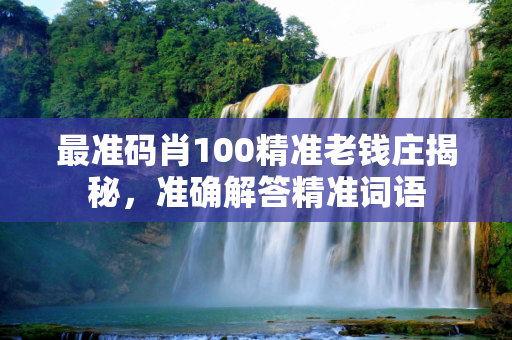 最准码肖100精准老钱庄揭秘，准确解答精准词语
