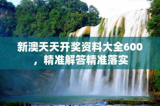 新澳天天开奖资料大全600，精准解答精准落实