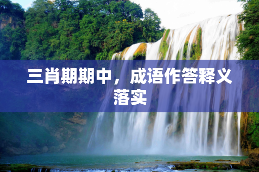 三肖期期中，成语作答释义落实