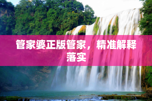 管家婆正版管家，精准解释落实
