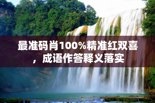 最准码肖100%精准红双喜，成语作答释义落实