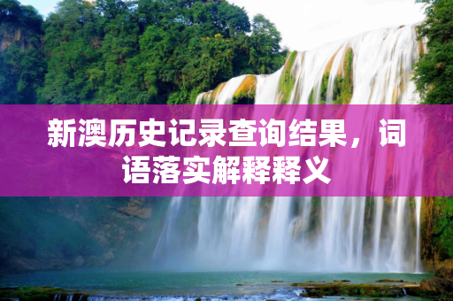 新澳历史记录查询结果，词语落实解释释义