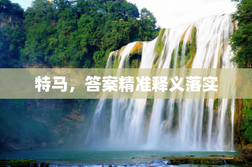 特马，答案精准释义落实