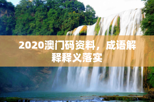 2020澳门码资料，成语解释释义落实