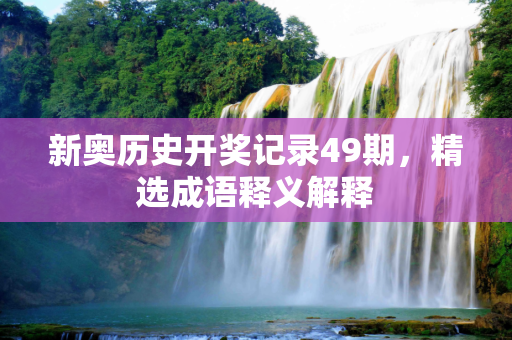 新奥历史开奖记录49期，精选成语释义解释