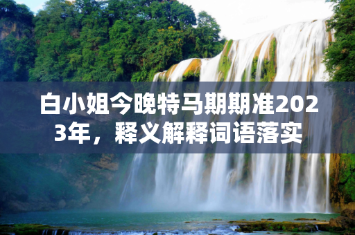 白小姐今晚特马期期准2023年，释义解释词语落实