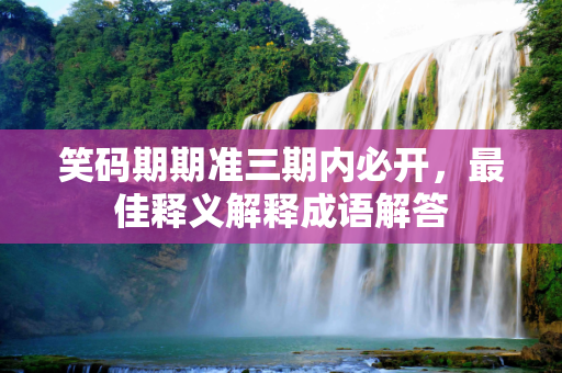 笑码期期准三期内必开，最佳释义解释成语解答