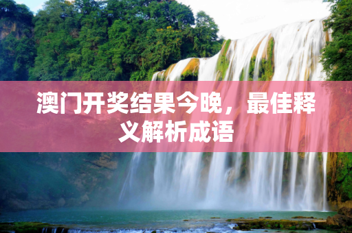 澳门开奖结果今晚，最佳释义解析成语