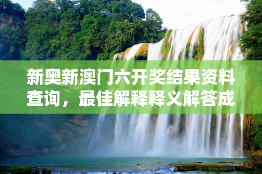 新奥新澳门六开奖结果资料查询，最佳解释释义解答成语