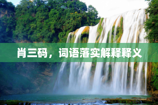 肖三码，词语落实解释释义