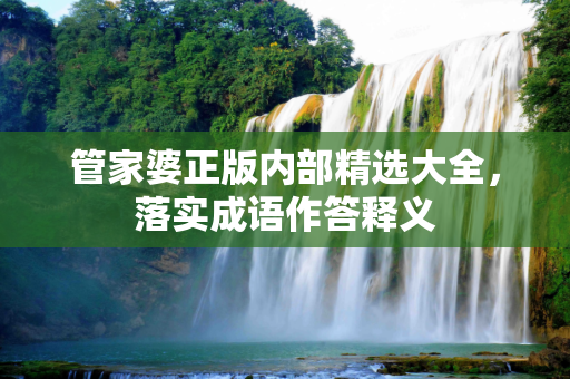 管家婆正版内部精选大全，落实成语作答释义