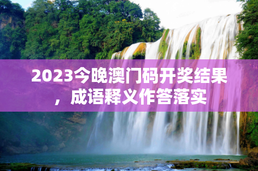 2023今晚澳门码开奖结果，成语释义作答落实