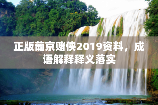正版葡京赌侠2019资料，成语解释释义落实