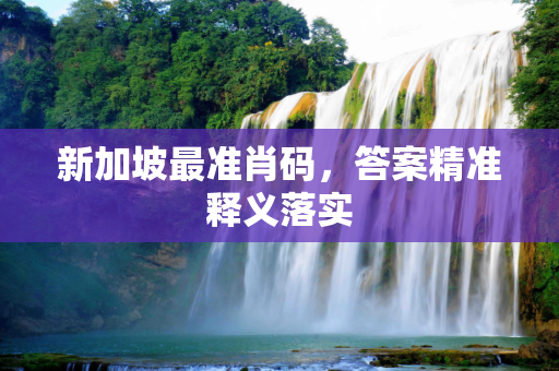 新加坡最准肖码，答案精准释义落实