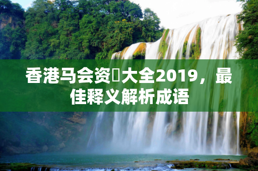 香港马会资枓大全2019，最佳释义解析成语