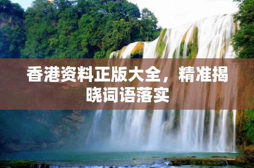 香港资料正版大全，精准揭晓词语落实