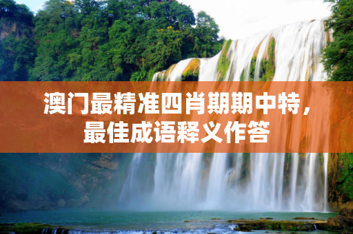 澳门最精准四肖期期中特，最佳成语释义作答