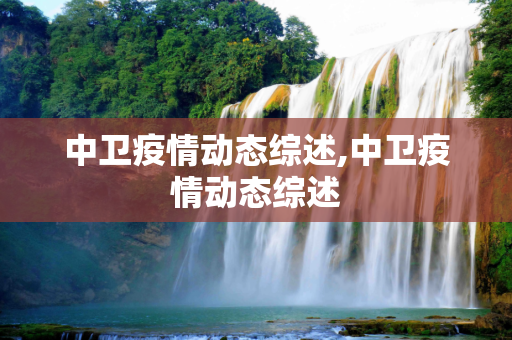 中卫疫情动态综述,中卫疫情动态综述