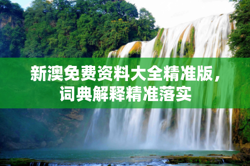 新澳免费资料大全精准版，词典解释精准落实