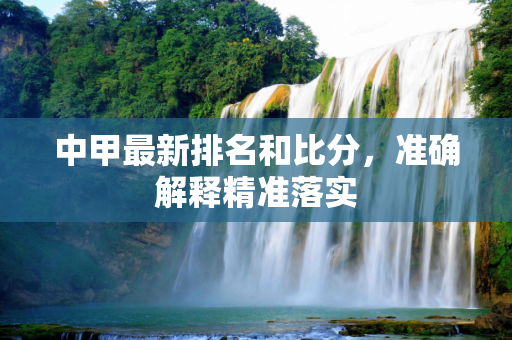 中甲最新排名和比分，准确解释精准落实