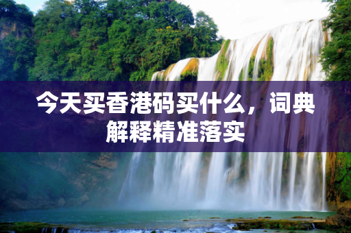 今天买香港码买什么，词典解释精准落实
