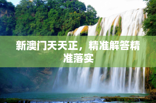 新澳门天天正，精准解答精准落实