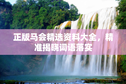 正版马会精选资料大全，精准揭晓词语落实