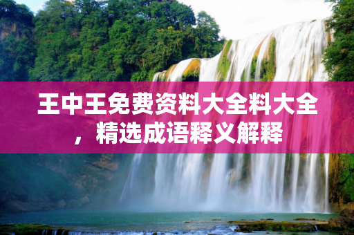 王中王免费资料大全料大全，精选成语释义解释