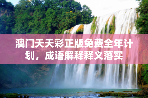 澳门天天彩正版免费全年计划，成语解释释义落实