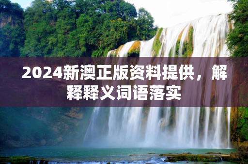 2024新澳正版资料提供，解释释义词语落实