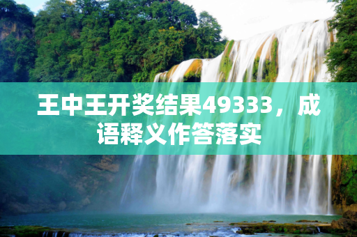 王中王开奖结果49333，成语释义作答落实