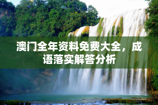 澳门全年资料免费大全，成语落实解答分析