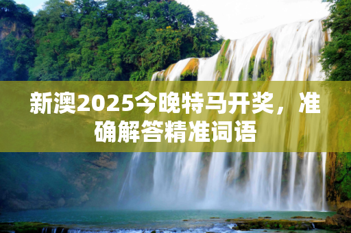 新澳2025今晚特马开奖，准确解答精准词语