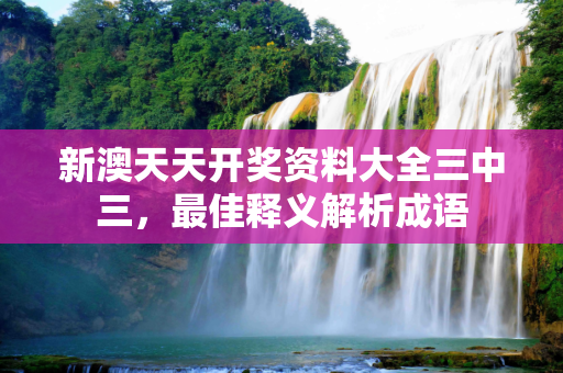 新澳天天开奖资料大全三中三，最佳释义解析成语