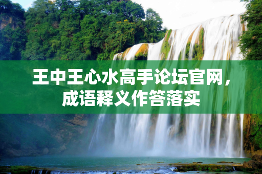 王中王心水高手论坛官网，成语释义作答落实